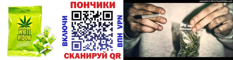 купить наркотик  Цоци-Юрт  Cannafood конопля 
