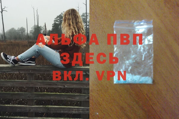 крисы Вязьма