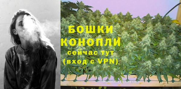 ALPHA-PVP Вяземский