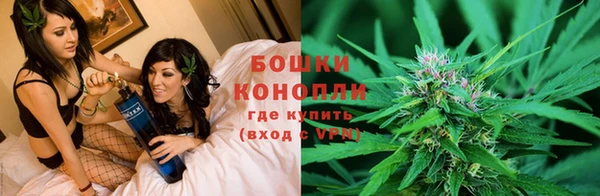 гашик Волосово