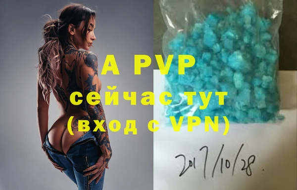 крисы Вязьма