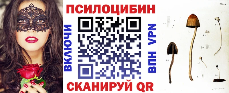 Псилоцибиновые грибы Psilocybe  Цоци-Юрт 