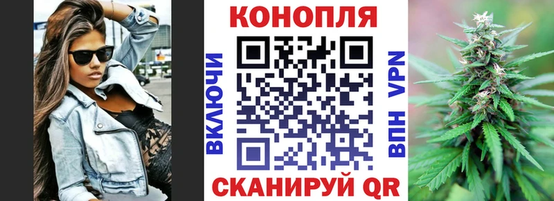 Конопля планчик  Цоци-Юрт 